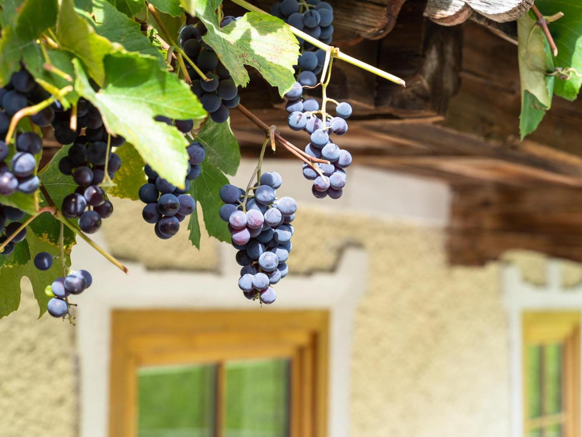 Chalet Anna Bruck am Ziller Εξωτερικό φωτογραφία
